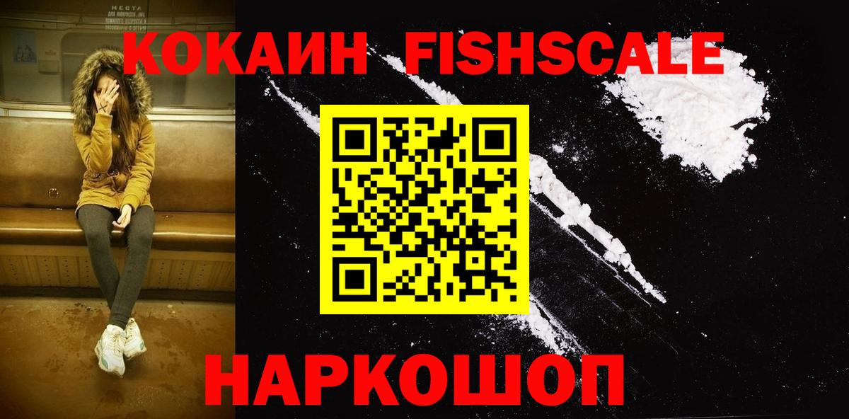COCAIN Fish Scale  дарнет шоп  Кокаин Fish Scale  Владикавказ  Вход с VPN 